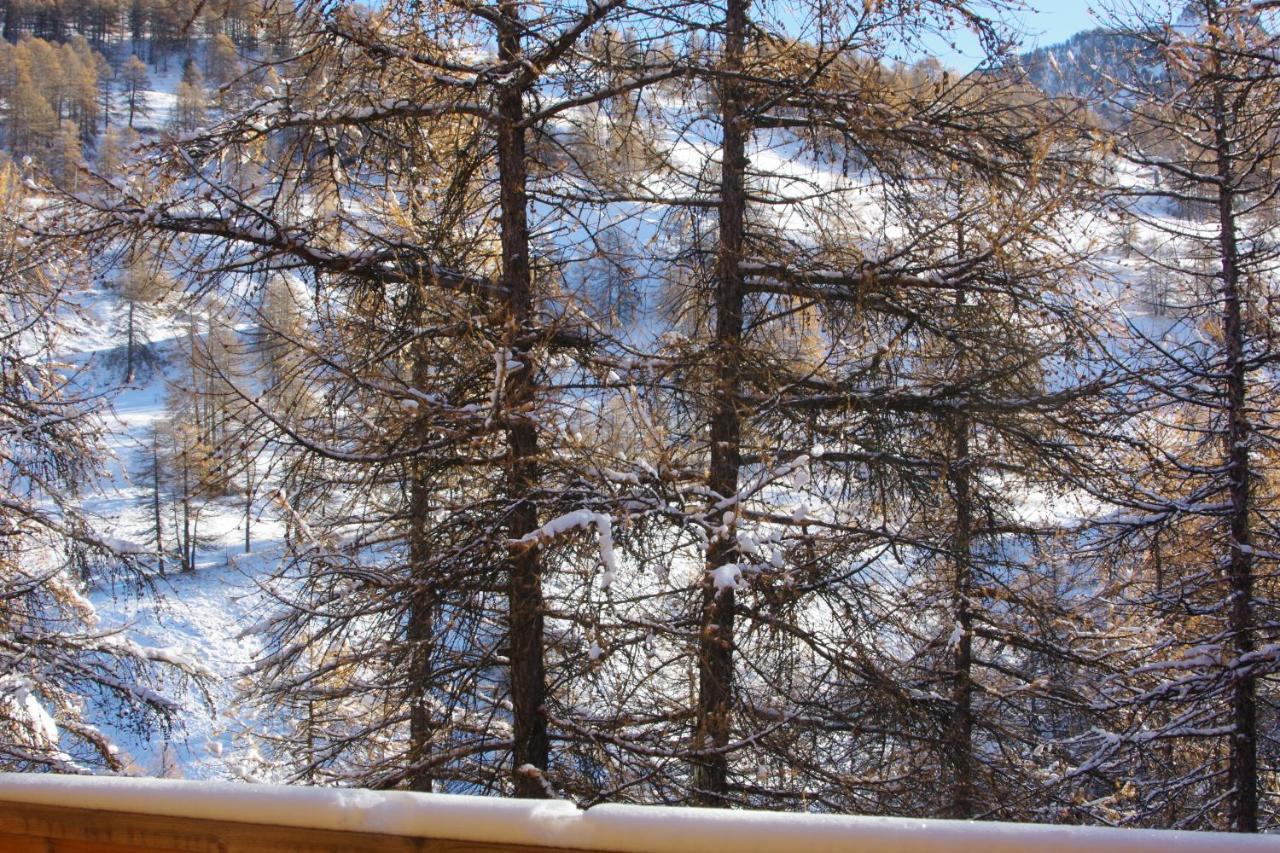 Spacieux Et Fonctionnel Dans Ecrin Des Neiges Vars  Luaran gambar